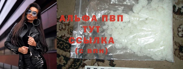 ПСИЛОЦИБИНОВЫЕ ГРИБЫ Касимов